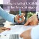 Nearly half of UK SMEs applied for financial support in 2020
