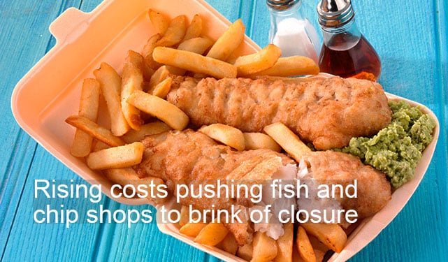 Rising costs pushing fish and chip shops to brink of closure Umbrella.uk